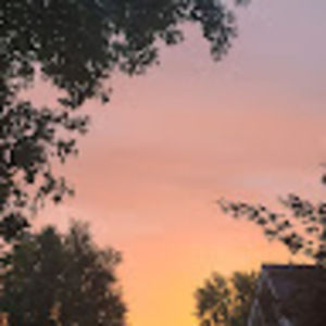 Meet your Posher, Carly